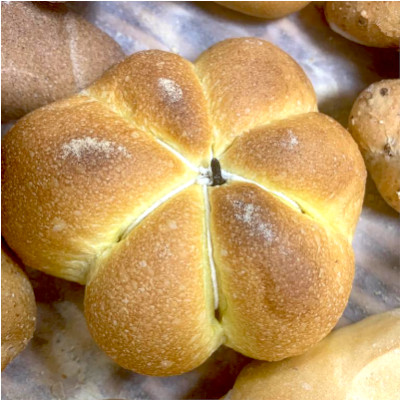 Pane-amore-e-Tradizione-Senago-Pane-alla-zucca